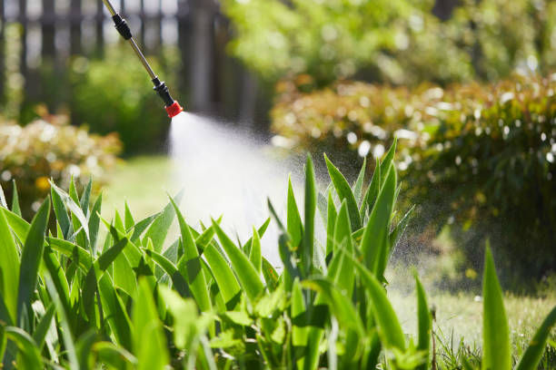 24/7 Emergency Mosquito Control experts in Clermont, IN