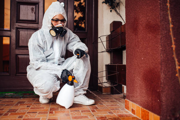 Reliable Mosquito Control contractor in Clermont, IN by Show Me Pest Control